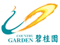 碧桂園地產